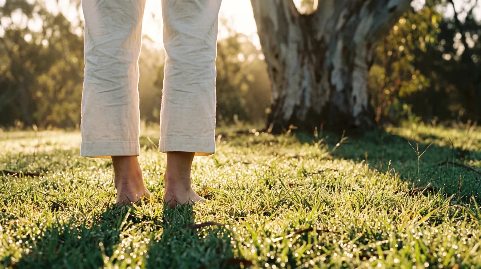 Bare feet on dewy grass at sunrise