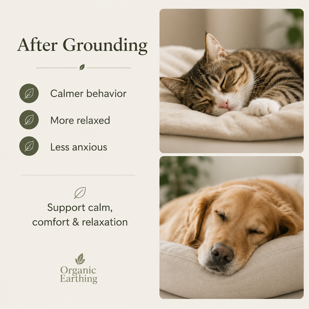 Grounding Mat for Pets | Earthing Pet Mat | Calming Support for Dogs & Cats | Indoor Grounding